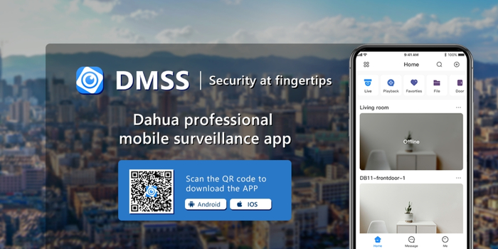 DMSS APP